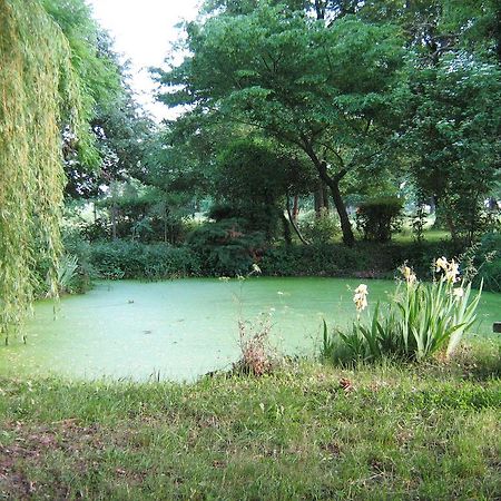 帕瑞赛斯庄园住宿加早餐旅馆 Gennetines 客房 照片