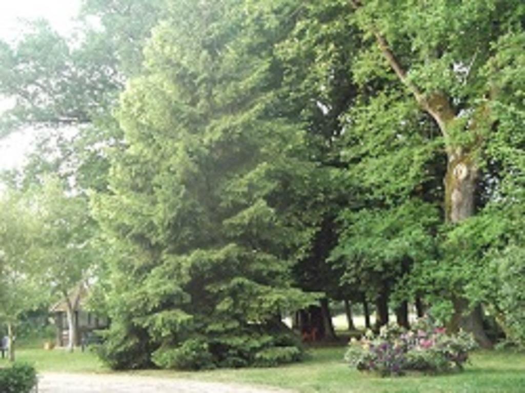 帕瑞赛斯庄园住宿加早餐旅馆 Gennetines 客房 照片